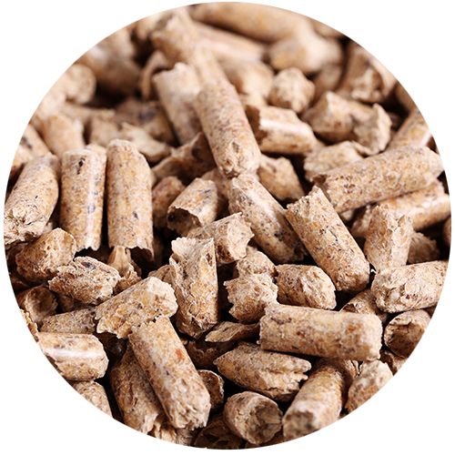 ชีวมวลอัดแท่ง (Biomass pellets)